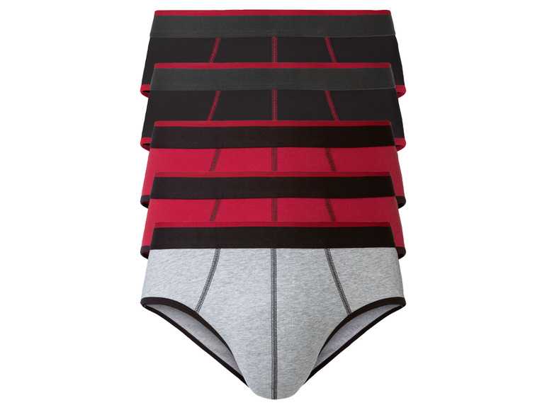 LIVERGY Pánske bavlnené slipy