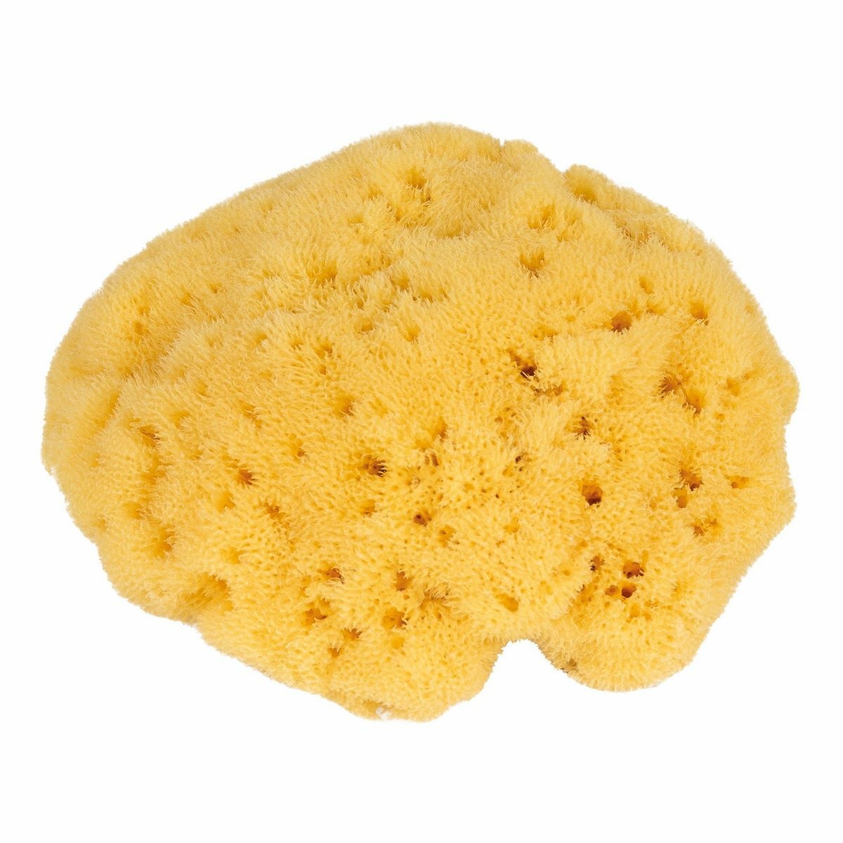PRODUCT1}