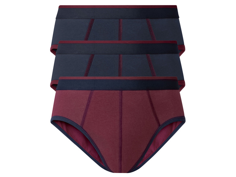 LIVERGY® Pánske slipy